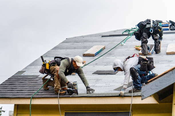 Professional Roofing technician working in Galesville, WI